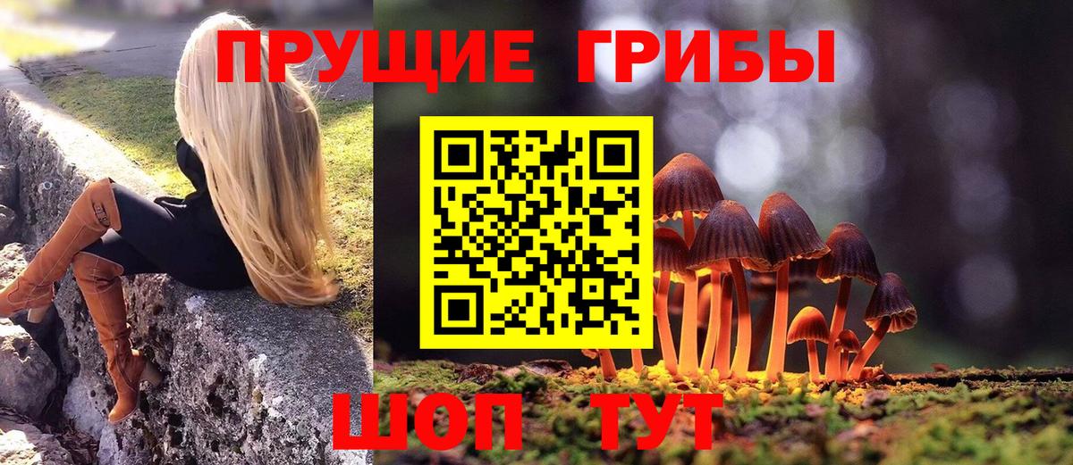 Галлюциногенные грибы Psilocybe  Вход с VPN  Алушта 